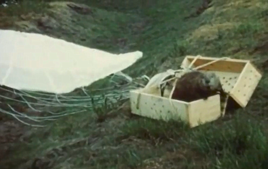 Beaver Bombers and Backwoods Engineers: The Wild Tale of the 1948 Idaho Beaver Drop